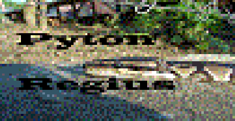 banner1.swf